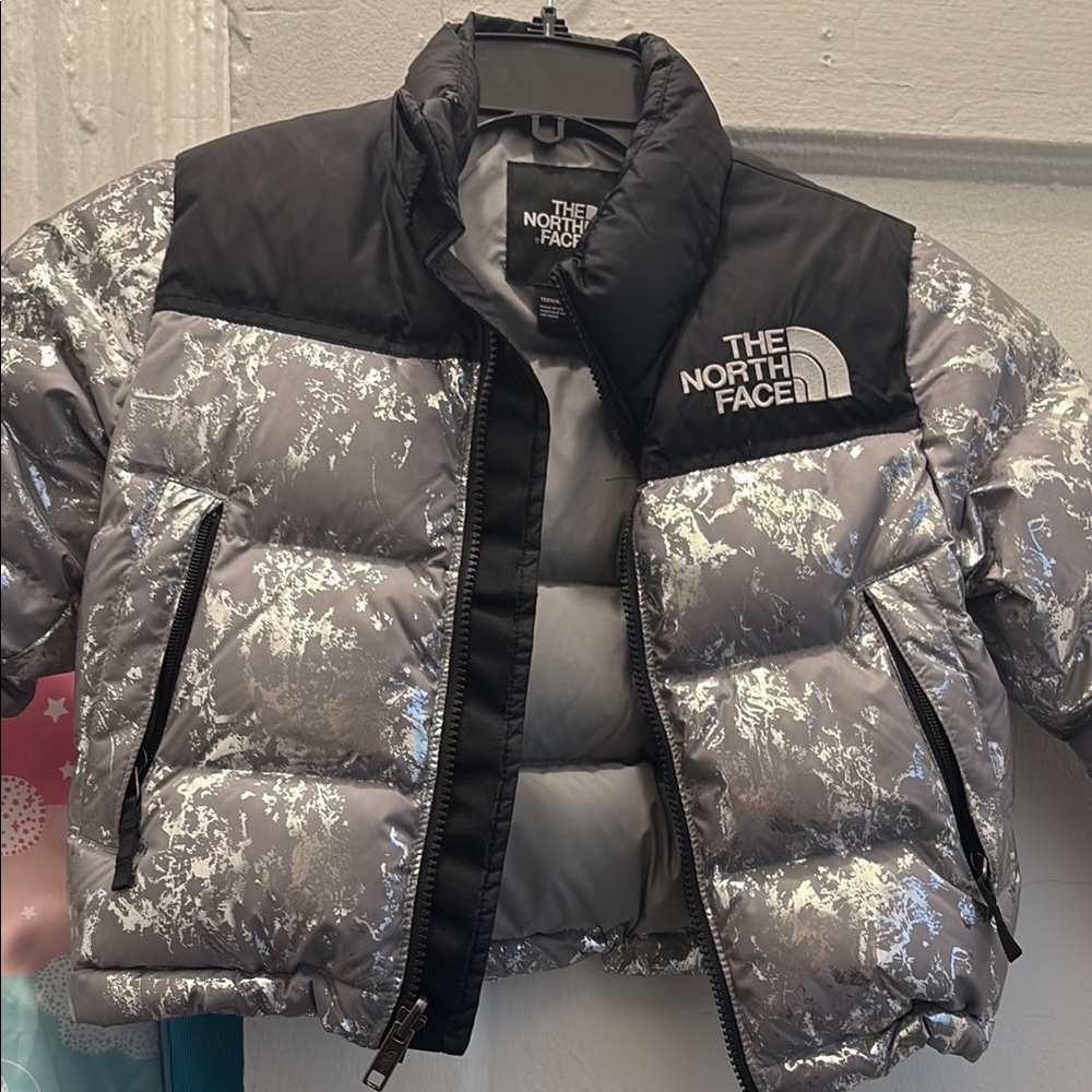 The North Face Kids Puffer Jacket - Black and Silver